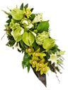 Composizione funebre verde
