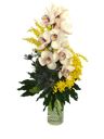 Mazzo di mimosa con ramo di orchidea