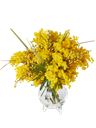 Bouquet di mimosa